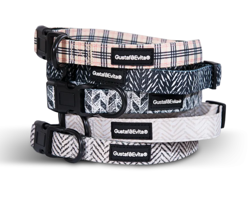 Hundehalsbånd Modish justerbart XS, 15mm x 28-43cm Mønstret