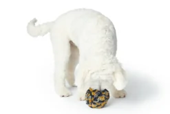 Hundeleketøy Sniffle Ball Eiby Polyester Blå/Grå/Gul ø15cm