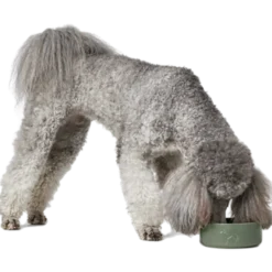 Hunde- og kattefôrskål Osby Ceramic White 550 ml/ø12,5 cm