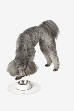 Hunde- og katteskål Base Selection Rund Antracit ø38cm