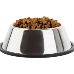 Hunderase Cocker Spaniel 7,5 kg