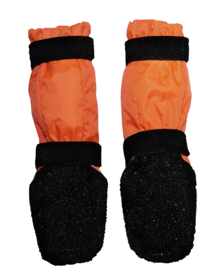 Hundesko Halla Sulo 2p, XS, Oransje