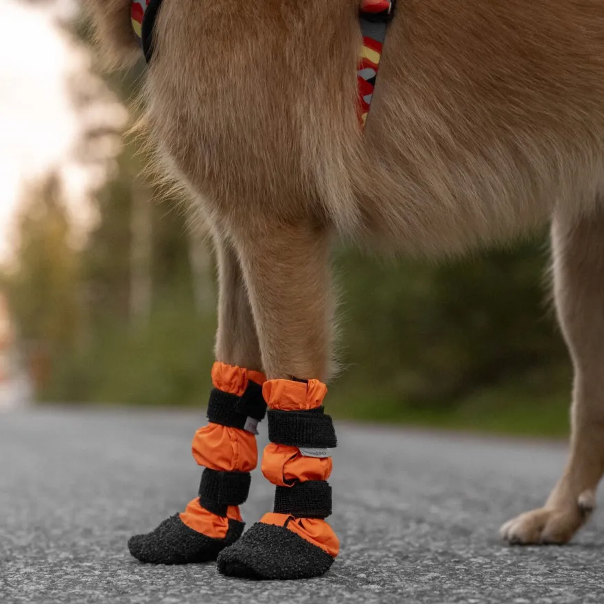 Hundesko Halla Sulo 2p, XS, Oransje