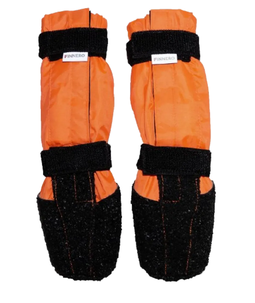Hundesko Halla Sulo 2p, XS, Oransje