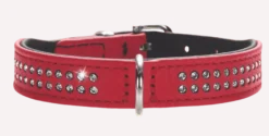 Hundhalsband Diamond Petit Röd