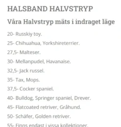 Hundhalsband Halvstryp Skinn Beige 30cm