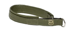 Hundhalsband - Halvstryp Skinnskodd Green 30 cm