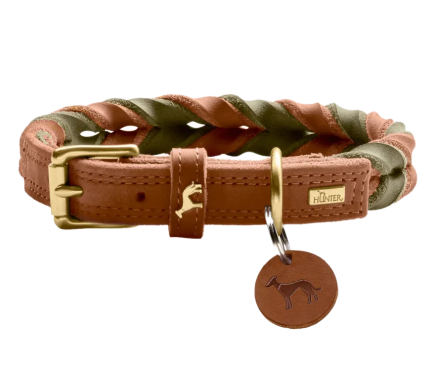 Hundhalsband Solid Education Duo Cognac/Olivgrön