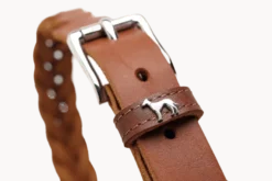 Hundhalsband Solid Education Special Svart