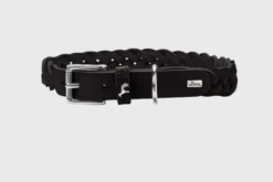 Hundhalsband Solid Education Special Svart