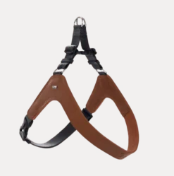 Hundsele Dimaro Cognac