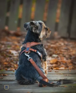 Hundsele Pro - Skinnskodd Brown Nr 3