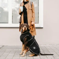 Hunter Coat Uppsala Softshell black 50 cm