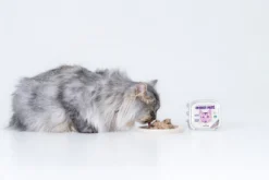 Insektbasert våtfôr for voksne katter, 85 g