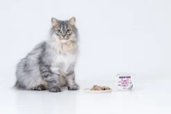 Insektbasert våtfôr for voksne katter, 85 g
