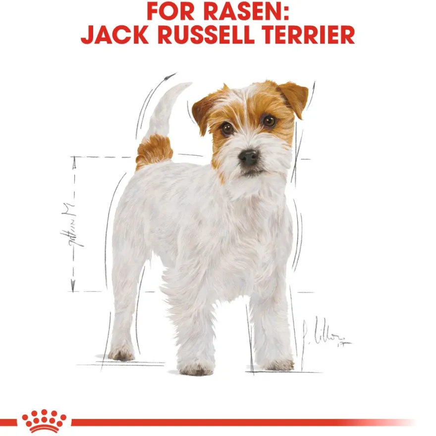 Jack Russel tørrfôr for voksne hunder 7,5 kg