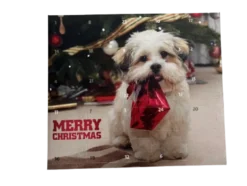Julekalender hund