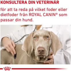 Kastrert Adult Large Dog Tørrfôr for hunder 12 kg