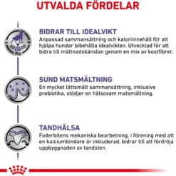 Kastrert Adult Small Dog Tørrfôr for små hunder 8 kg