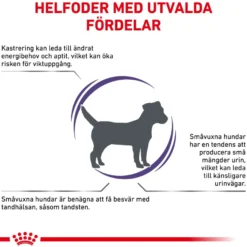 Kastrert Adult Small Dog Tørrfôr for små hunder 8 kg