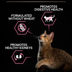 Katt Adult Delicate Digestion Kalkun 3kg