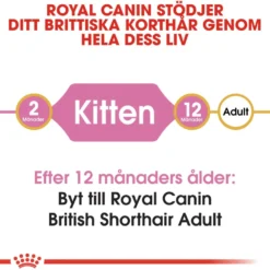Kattekattunge Britisk korthår 2 kg