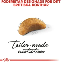 Kattekattunge Britisk korthår 2 kg