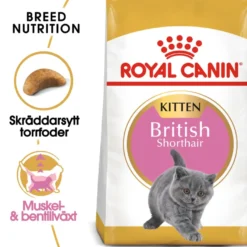 Kattekattunge Britisk korthår 2 kg