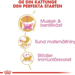 Kattekattunge Britisk korthår 2 kg