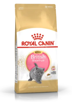 Kattekattunge Britisk korthår 2 kg