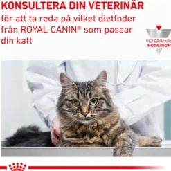 Kattenyrebrød 85 g x 12 stk