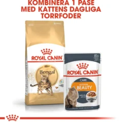 Katterase Bengal 2 kg