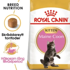 Katterase Maine Coon kattunge 10 kg