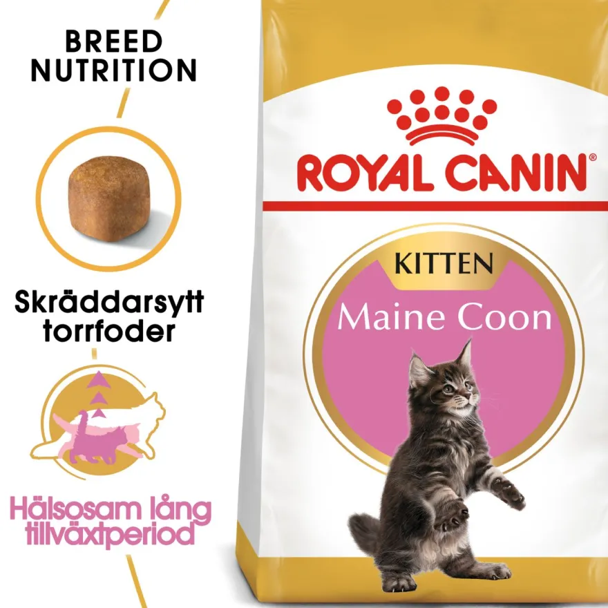 Katterasen Maine Coon kattunge 4 kg