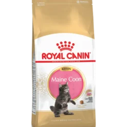 Katterasen Maine Coon kattunge 4 kg