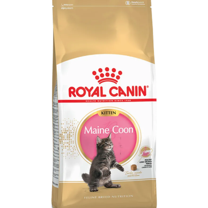 Katterasen Maine Coon kattunge 4 kg