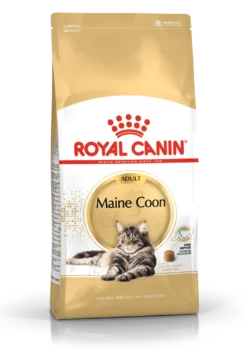 Katterasen Maine Coon 4 kg