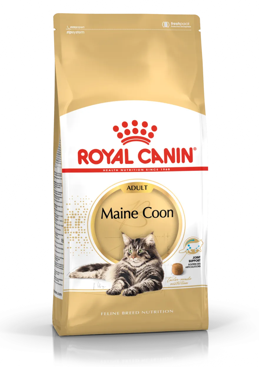Katterasen Maine Coon 10 kg