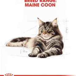 Katterasen Maine Coon 10 kg