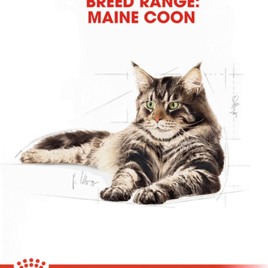 Katterasen Maine Coon 10 kg