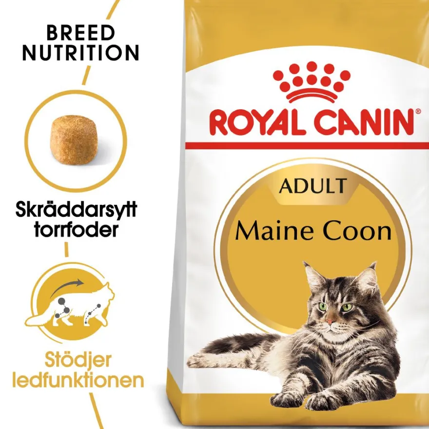 Katterasen Maine Coon 10 kg