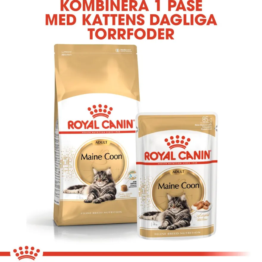 Katterasen Maine Coon 10 kg