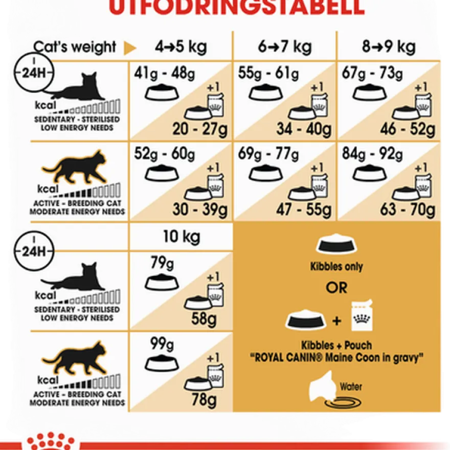 Katterasen Maine Coon 10 kg