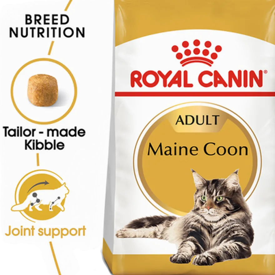 Katterasen Maine Coon 10 kg