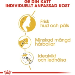 Katterase Norsk skogkatt 2 kg