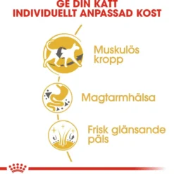 Katterasen siameser 2 kg
