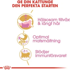 Katterase Perserkattunge 2 kg
