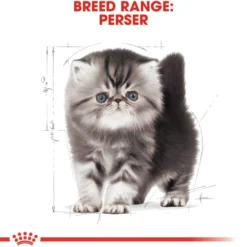 Katterase Perserkattunge 2 kg