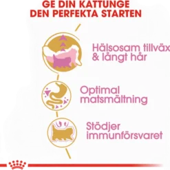 Katterase Perserkattunge 2 kg