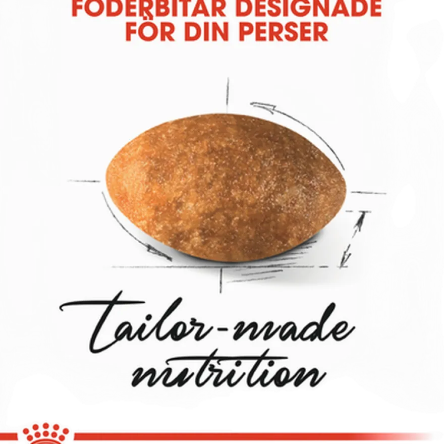 Katterase Perser 2 kg